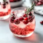 Christmas Cranberry Spritzer